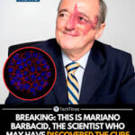 The Scientific Breakthrough (January 2026) In late January 2026, Barbacid’s team at the CNIO (Spanish National Cancer Research Centre) published a study in the journal PNAS detailing a “triple therapy” that successfully eliminated pancreatic tumors in mice.